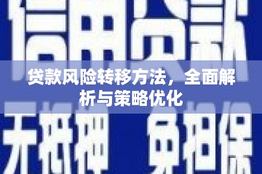 长寿贷款风险转移方法，全面解析与策略优化