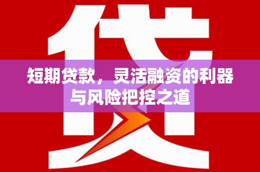 长寿短期贷款，灵活融资的利器与风险把控之道