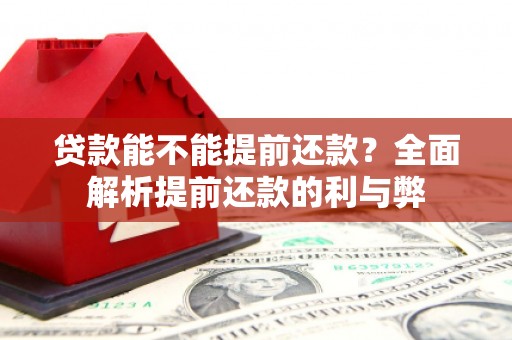 长寿贷款能不能提前还款？全面解析提前还款的利与弊