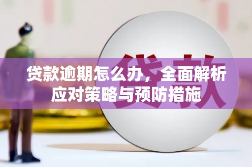 长寿贷款逾期怎么办，全面解析应对策略与预防措施