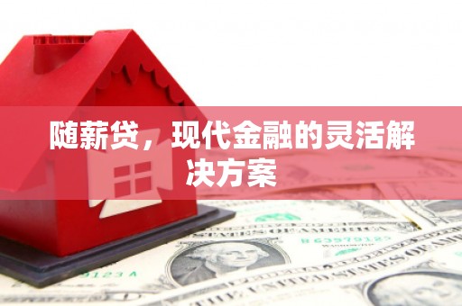 长寿随薪贷，现代金融的灵活解决方案
