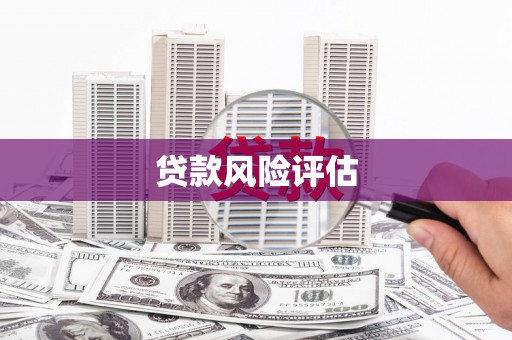 长寿贷款风险评估