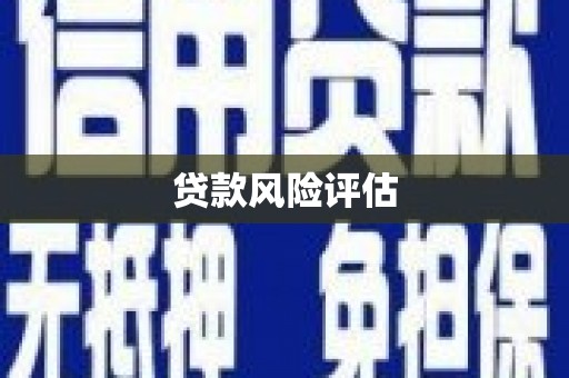 长寿贷款风险评估