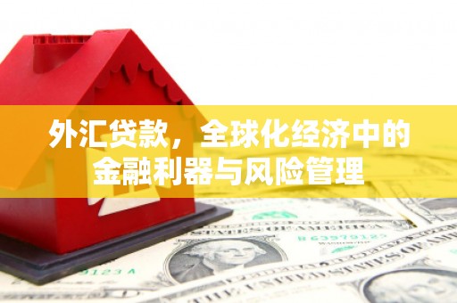 长寿外汇贷款，全球化经济中的金融利器与风险管理