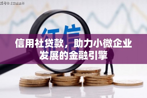 长寿信用社贷款，助力小微企业发展的金融引擎