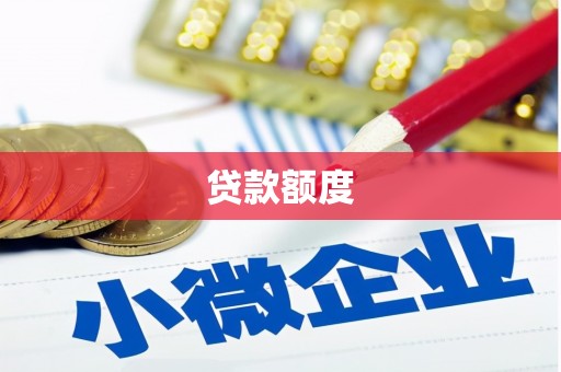 长寿贷款额度