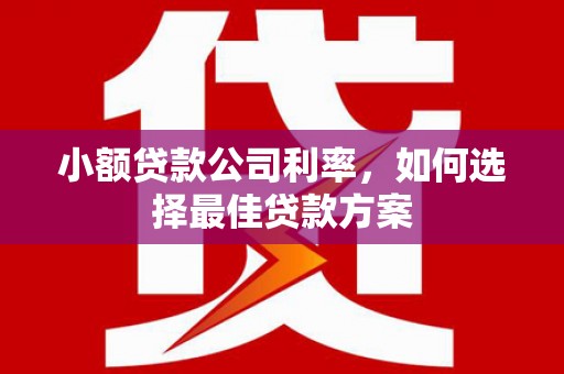 长寿小额贷款公司利率，如何选择最佳贷款方案