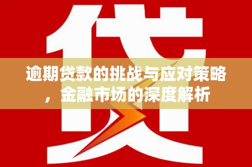 长寿逾期贷款的挑战与应对策略，金融市场的深度解析