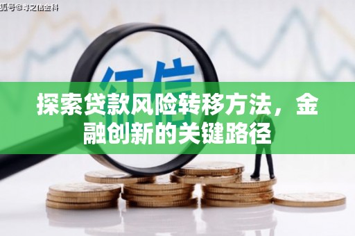 长寿探索贷款风险转移方法，金融创新的关键路径
