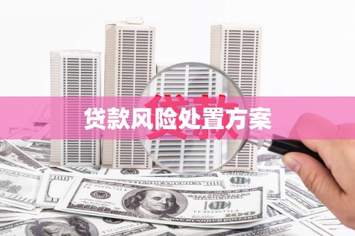 长寿贷款风险处置方案