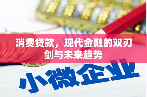 长寿消费贷款，现代金融的双刃剑与未来趋势