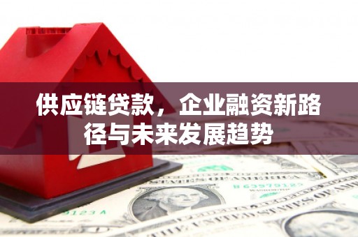 长寿供应链贷款，企业融资新路径与未来发展趋势