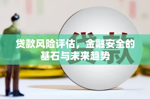 长寿贷款风险评估，金融安全的基石与未来趋势