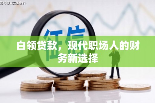 长寿白领贷款，现代职场人的财务新选择