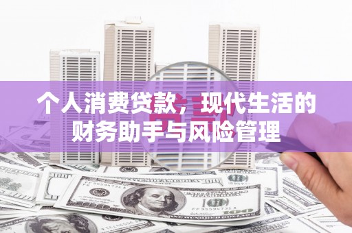 长寿个人消费贷款，现代生活的财务助手与风险管理