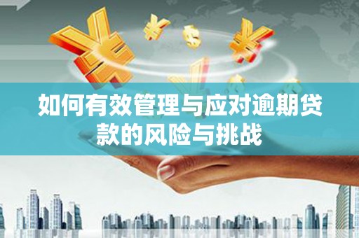 长寿如何有效管理与应对逾期贷款的风险与挑战