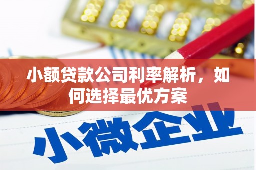 长寿小额贷款公司利率解析，如何选择最优方案