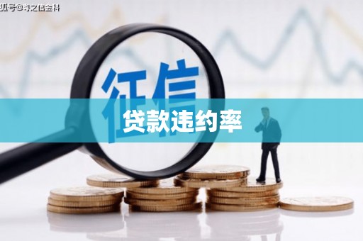 长寿贷款违约率