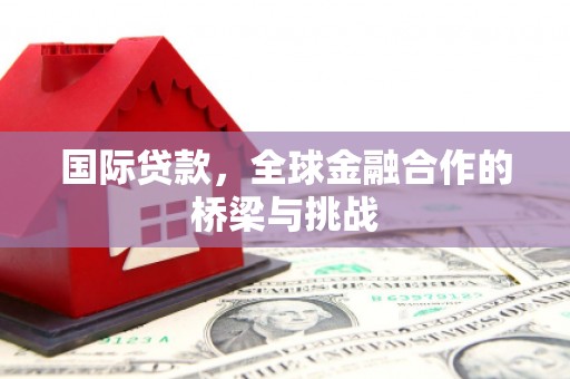 长寿国际贷款，全球金融合作的桥梁与挑战