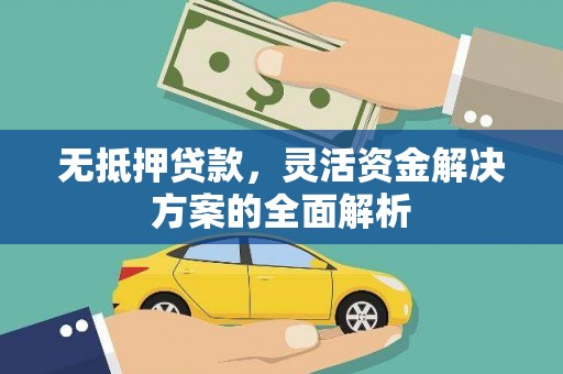 长寿无抵押贷款，灵活资金解决方案的全面解析