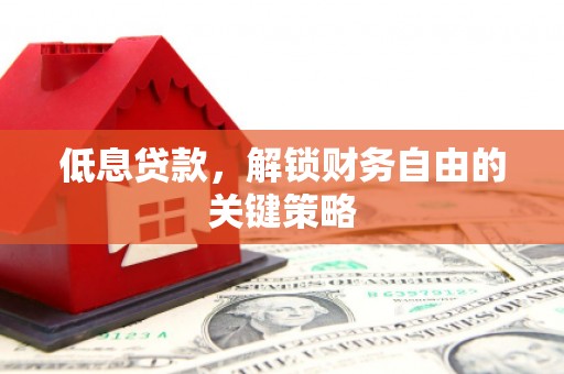 长寿低息贷款，解锁财务自由的关键策略