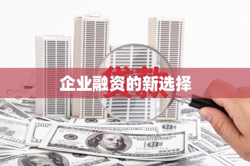 长寿企业融资的新选择