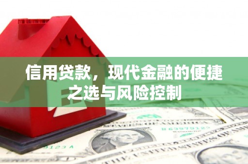长寿信用贷款，现代金融的便捷之选与风险控制