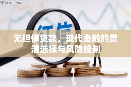 长寿无担保贷款，现代金融的灵活选择与风险控制