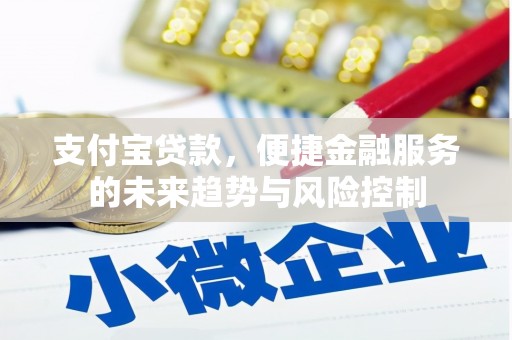 长寿支付宝贷款，便捷金融服务的未来趋势与风险控制