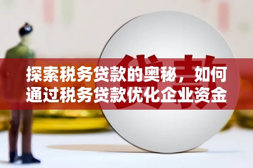长寿探索税务贷款的奥秘，如何通过税务贷款优化企业资金流