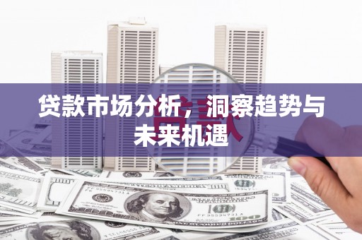 长寿贷款市场分析，洞察趋势与未来机遇