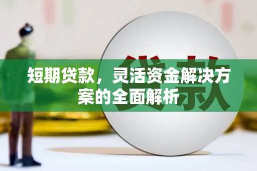 长寿短期贷款，灵活资金解决方案的全面解析