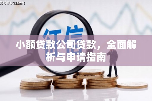 长寿小额贷款公司贷款，全面解析与申请指南