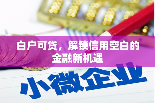 长寿白户可贷，解锁信用空白的金融新机遇