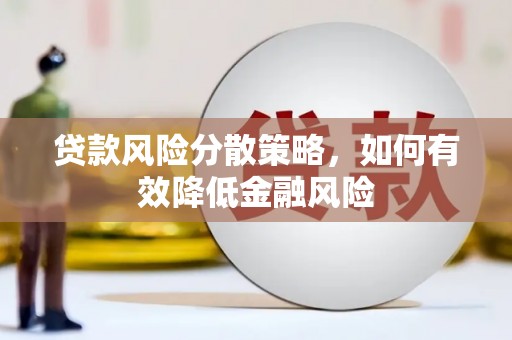 长寿贷款风险分散策略，如何有效降低金融风险