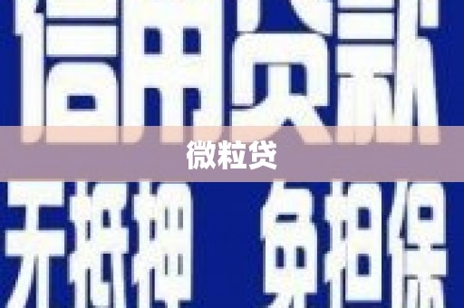 长寿微粒贷