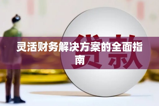 长寿灵活财务解决方案的全面指南