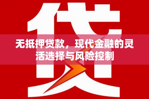 长寿无抵押贷款，现代金融的灵活选择与风险控制