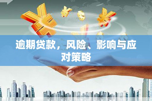 长寿逾期贷款，风险、影响与应对策略