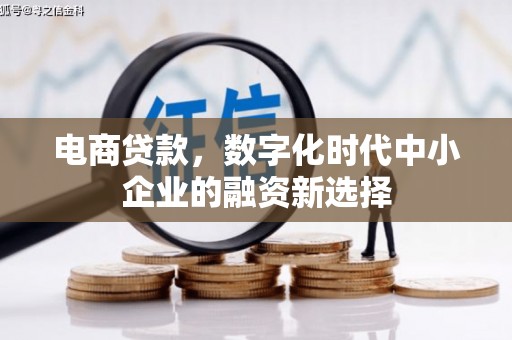长寿电商贷款，数字化时代中小企业的融资新选择