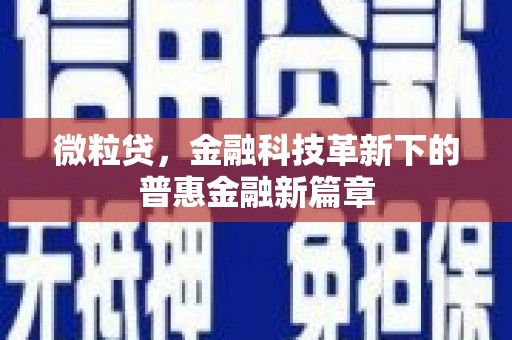 长寿微粒贷，金融科技革新下的普惠金融新篇章