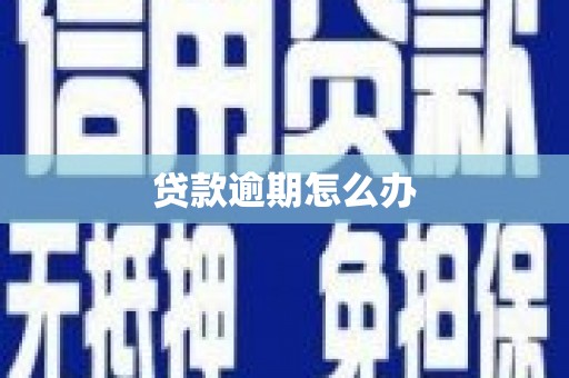 长寿贷款逾期怎么办