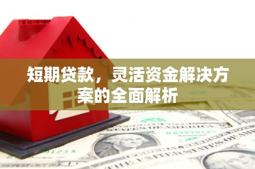 长寿短期贷款，灵活资金解决方案的全面解析