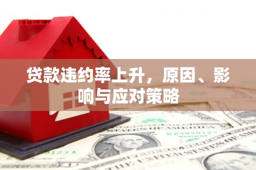 长寿贷款违约率上升，原因、影响与应对策略