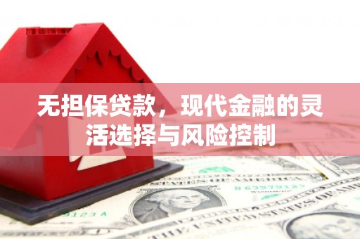 长寿无担保贷款，现代金融的灵活选择与风险控制