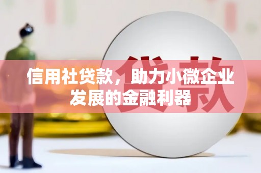 长寿信用社贷款，助力小微企业发展的金融利器