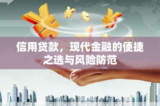 长寿信用贷款，现代金融的便捷之选与风险防范