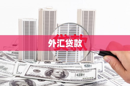 长寿外汇贷款