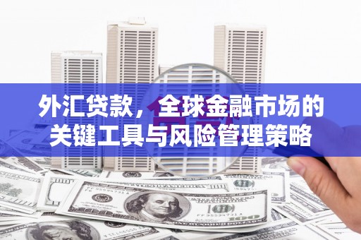 长寿外汇贷款，全球金融市场的关键工具与风险管理策略