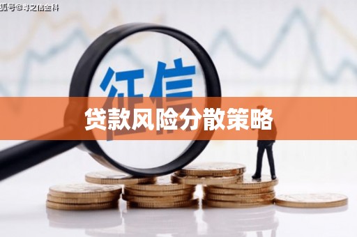 长寿贷款风险分散策略